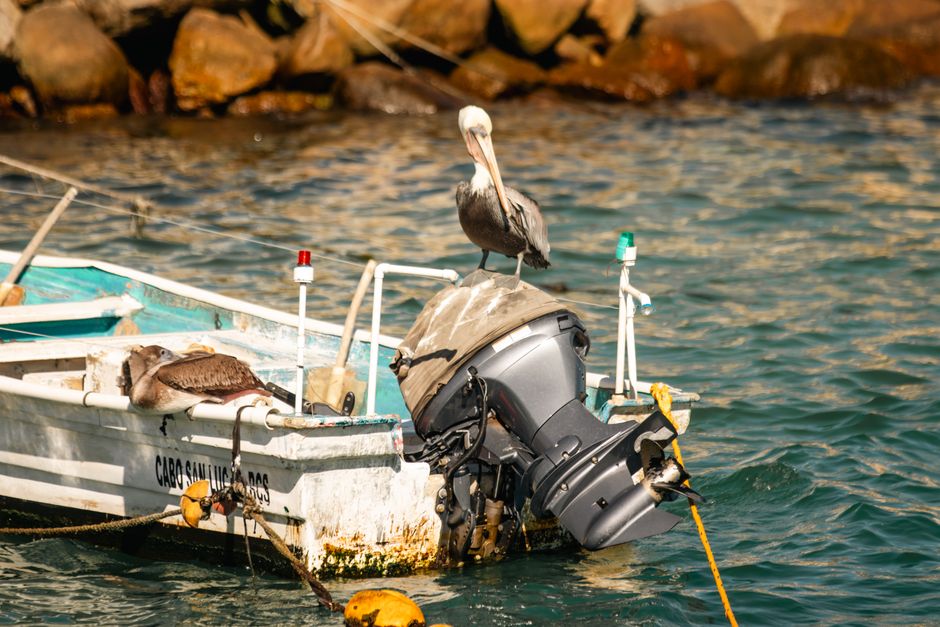 reparación motor fuera borda