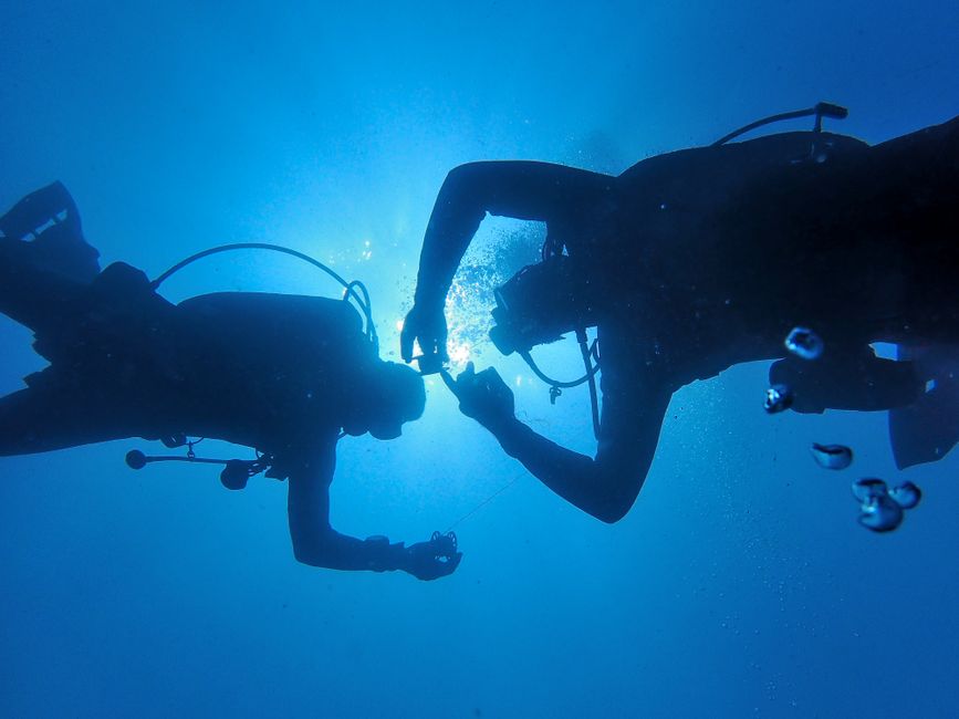 curso buceo certificación